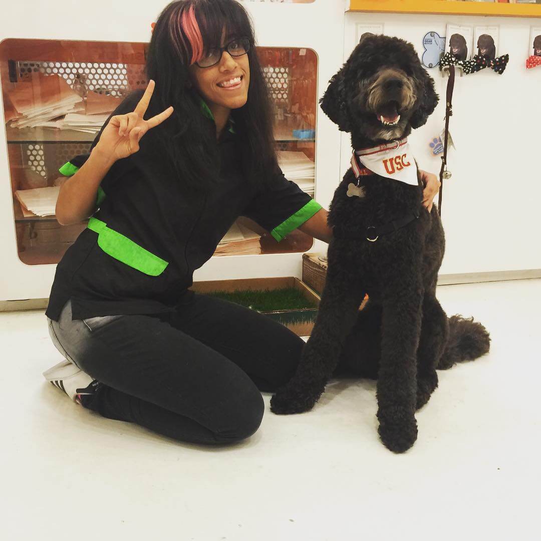 cachorro-se-transforma-em-professor