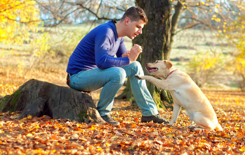 A man training his dog.