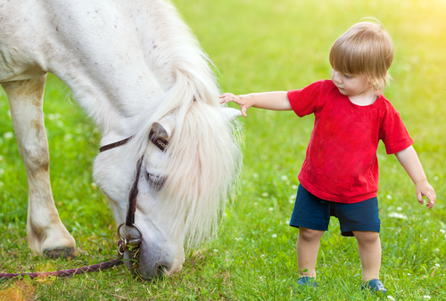 Niño con un caballo