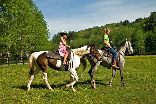La equinoterapia: los caballos te ayudan