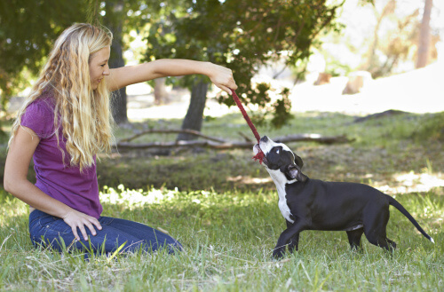 Woman playing with a dog in the grass