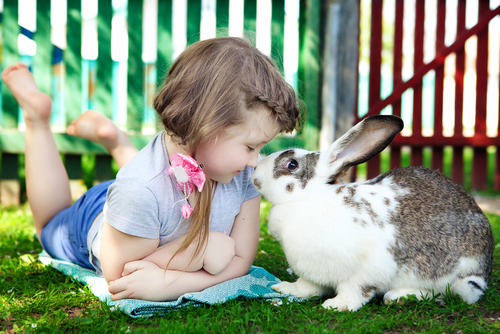 niña con conejo