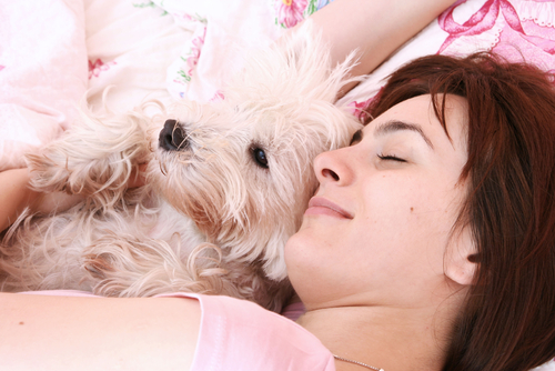 Pros y contras de dormir con tu mascota, ¿qué opinas?