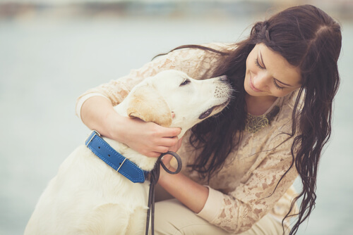 Todo sobre la epilepsia en los perros
