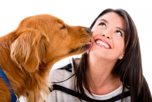 El lengüetazo de un perro y sus secretos
