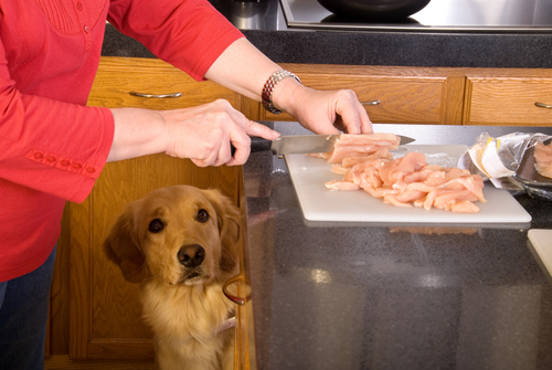 recetas cocina 3