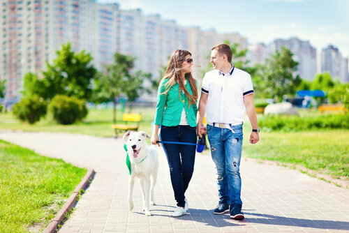 La salud cardiovascular y los beneficios de tener un perro
