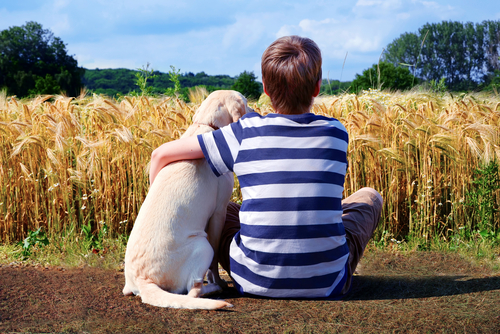 Cómo benefician los perros a los niños autistas