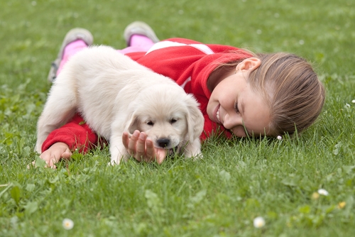 Los cachorros y los niños: enséñales cómo tratarlos