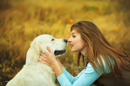 ¿Existe la comunicación telepática con nuestros perros?