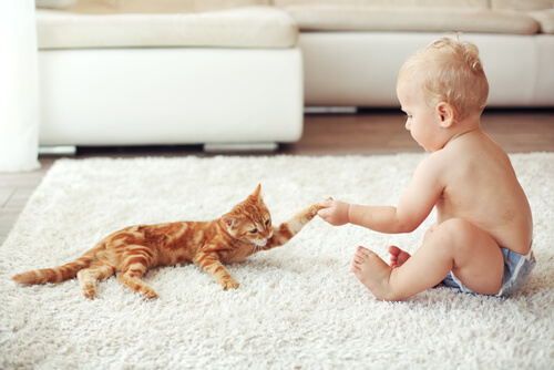 gato-con-niño