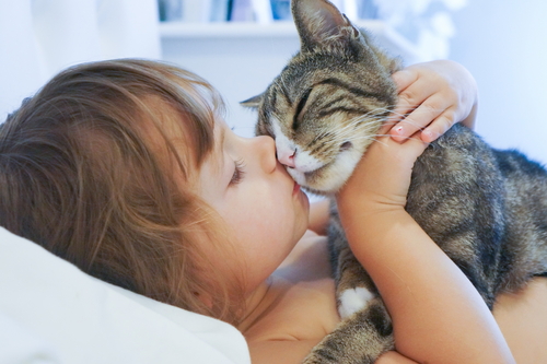 Child kissing and holding a cat 