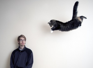 La agilidad del gato
