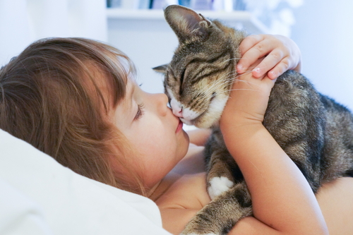gato y niña