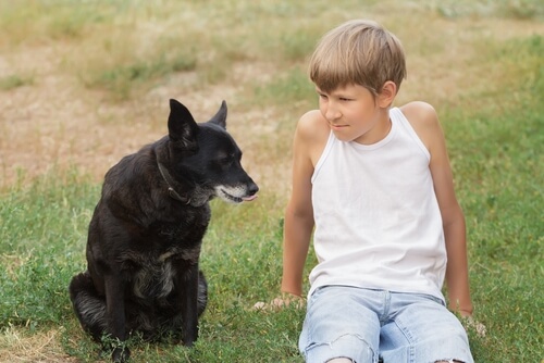 perro y niño