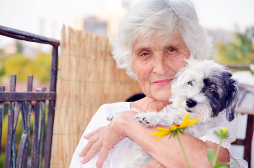 perro y persona mayor