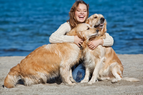 Un estudio científico demuestra que los perros nos aman como miembros de su familia