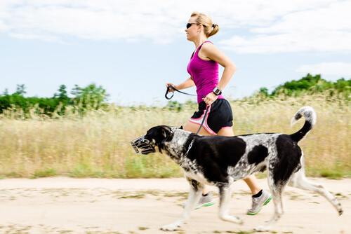faire des activités sportives avec votre chien