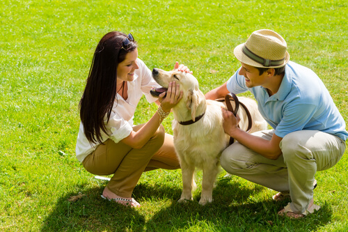 El reencuentro entre perros y sus amos tras mucho tiempo