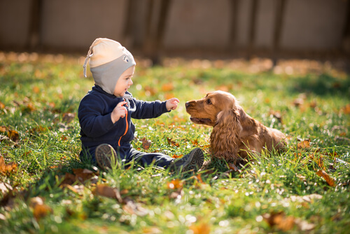 niño y perro