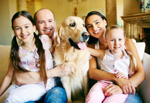 perro con familia