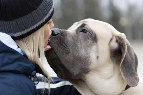 perro y dueña