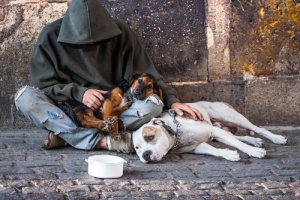 Fidelidad a prueba en los peores momentos: mendigos con sus perros