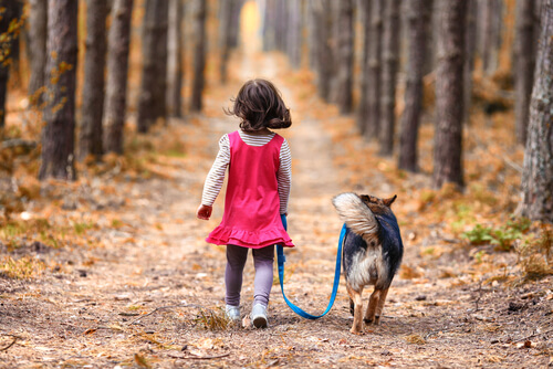 Un perro protege a una niña perdida en el bosque durante toda la noche