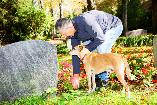 Un chien au cimetière.