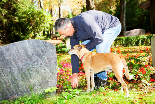 Un perro vive en la tumba de su dueño y se niega a irse