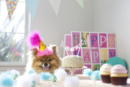 fiesta de cumpleaños