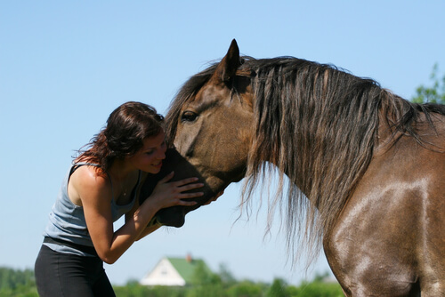 Persona acariciando a un caballo