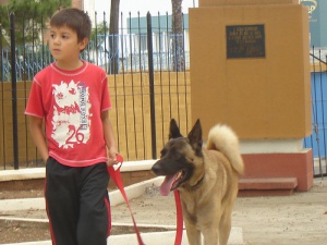 Un perro cuida de un niño enfermo