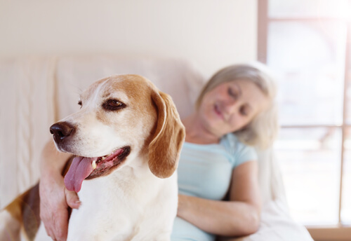 mascota en familia