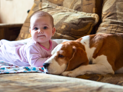Una bambina e il suo cane