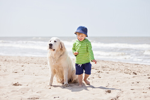 perro y niño en la playa