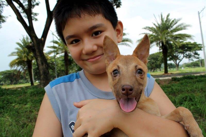 niño y su perro