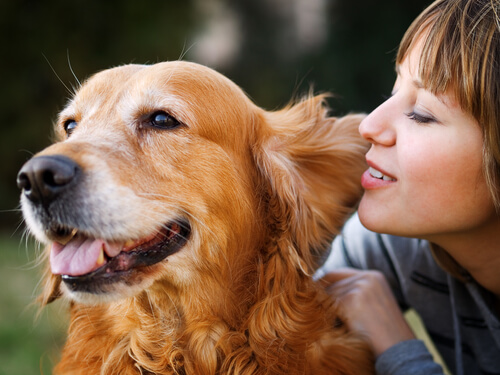 perro pequeños corazones