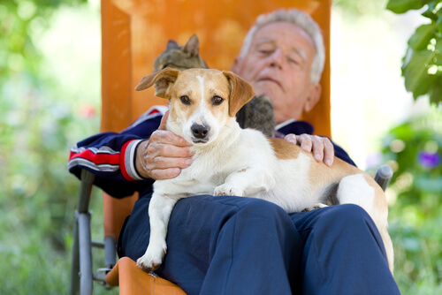 hombre y perro