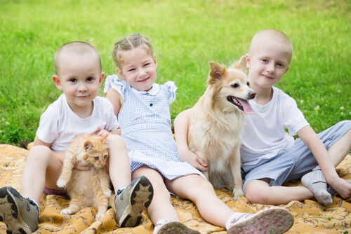 kids in grass with dog and cat