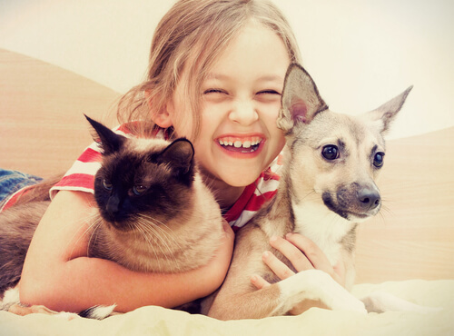 niña-con-perro-y-gato