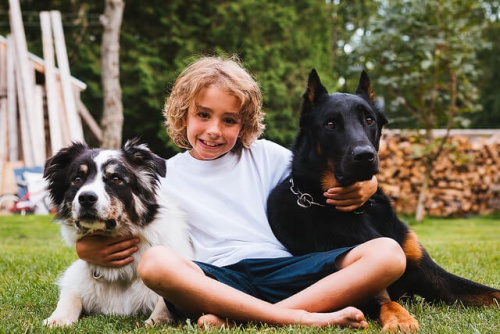 Niños y perros: a cada edad una responsabilidad