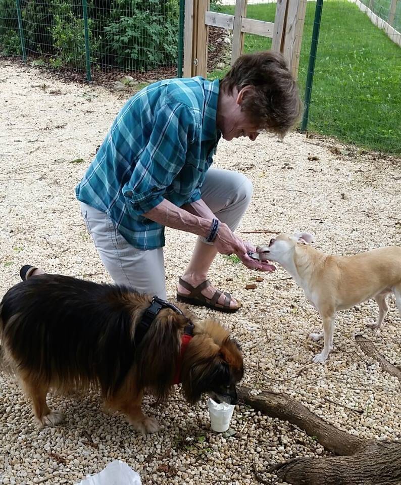 Hogar para perros y ancianos