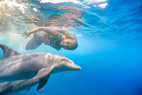 Delfin nadando con una niña
