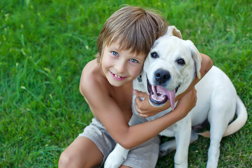 perro con niño