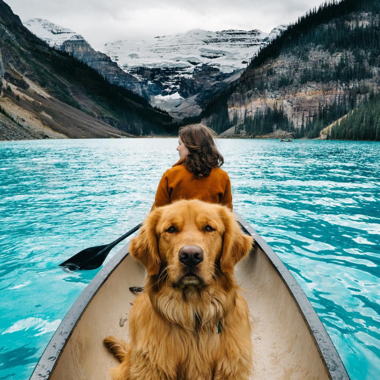 Aspen, un perro de 130 mil seguidores en Instagram