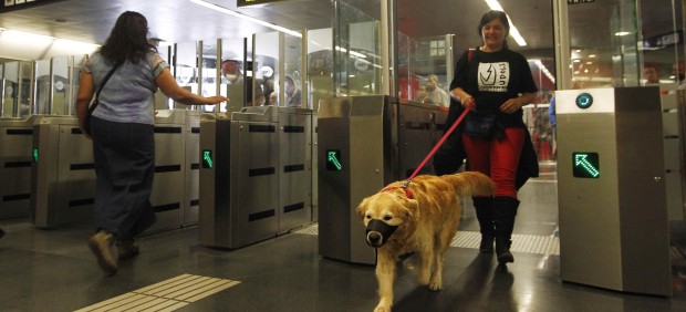Perro en el Metro de Madrid