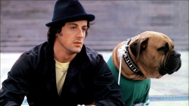 Una triste historia de Sylvester Stallone y su perro Butkus