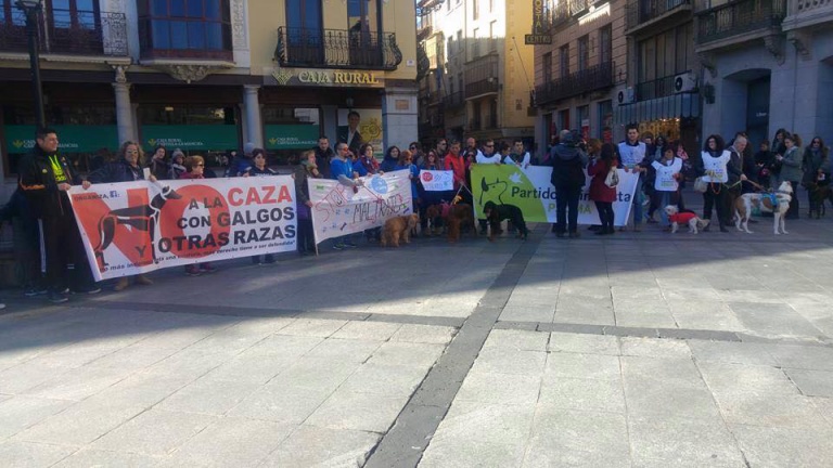 Un domingo de carnaval contra el maltrato animal en Toledo