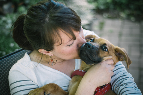 Algunas personas besan más a su perro que a su pareja